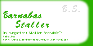 barnabas staller business card